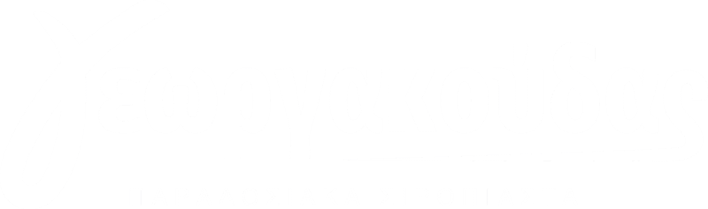 Logo Georgakoudas